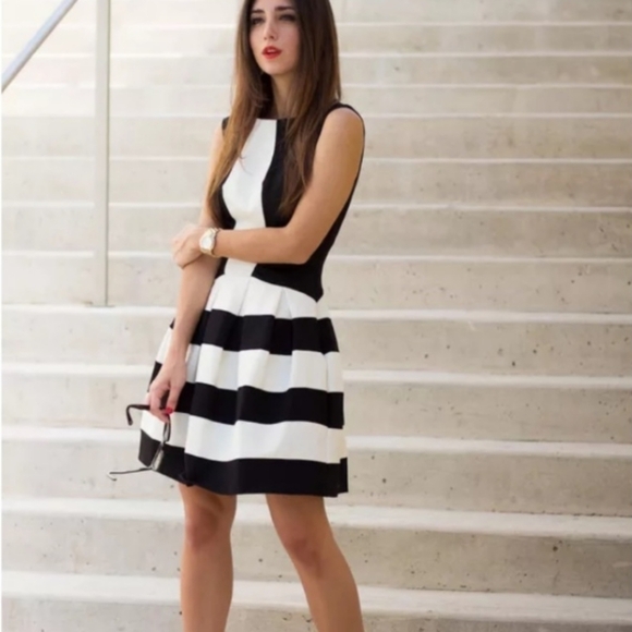 Anthropology Strata Eva Franco Black& White Fit and Flare plpreppy Classic Dress - Picture 5 of 10